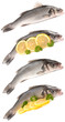 Foto: Seabass on a white background Seabass on a white background