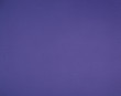 紙