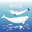 whales in the sea