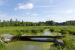 Wetland in Sweden, habitat for many dragonflies
