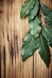 Photo: Bay leaves on wooden background Bay leaves on wooden background
