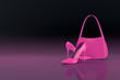 women's shoes and bag