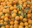 Photo: Orangen Orangen
