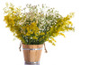 Summer bouquet of wild flowers