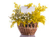 Summer bouquet of wild flowers