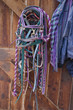 Horse tack ready and waiting