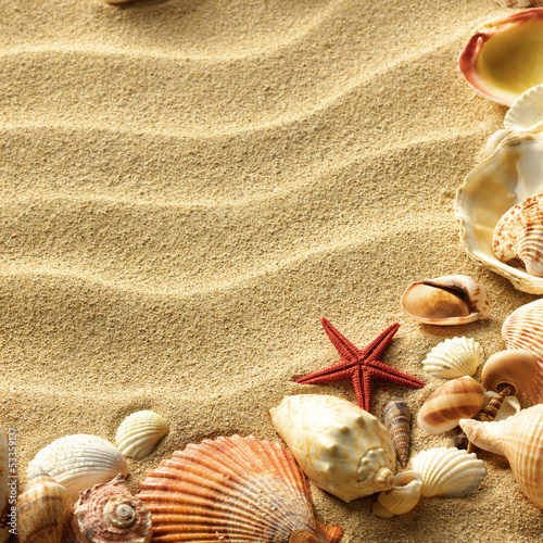 Photo: Sea shell on sand Sea shell on sand