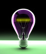 Electric light bulb