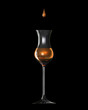 Grappa mit Grappaglas