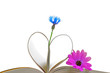 Book pages with flowers