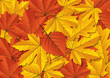 Vector: Herbst Herbst