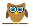 owl and pencil