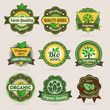 Bio - Ecology - Green icon set