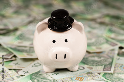 Photo: Money Polish Zloty Money Polish Zloty