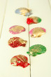 Colorful seashell on color wooden background