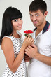Beautiful loving couple with rose on grey background
