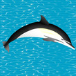 Vector: Killer whale jumping out of water Killer whale jumping out of water