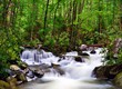 River in the Smoky Mountains
