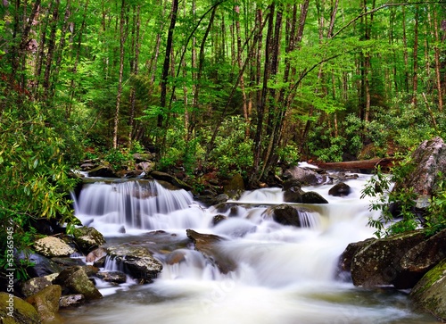Photo: River in the Smoky Mountains River in the Smoky Mountains