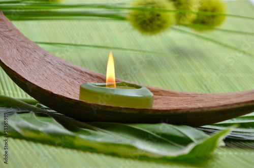 Photo: Wellness Grün Kerze Wollgraszweig Wellness Grün Kerze Wollgraszweig