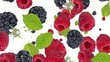 Raspberries and Blackberries background (with alpha video)