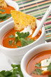 Tortilla-Chipotle Soup