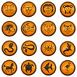 Animal icons.