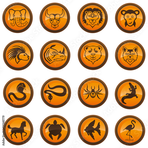 Vector: Animal icons. Animal icons.