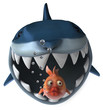 Illustration: Fun shark Fun shark