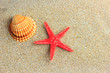 Starfish and seashells