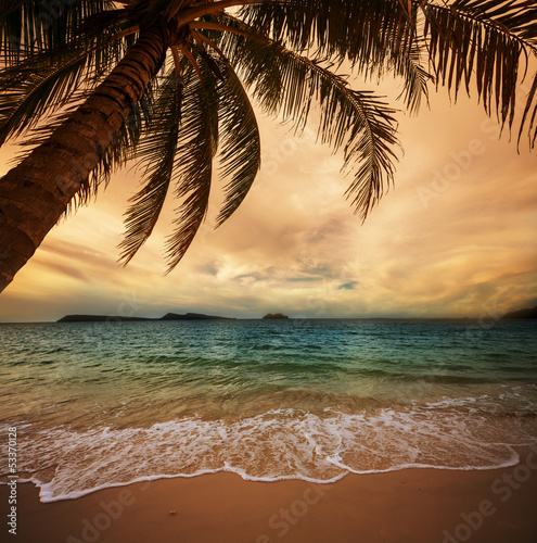 Photo: Tropical beach Tropical beach