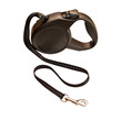 Retractable leash for dog isolated on white background