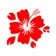 Hibiscus Flower