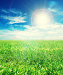 summer sunshine