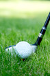 golf ball