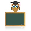 owl and blackboard - graduation