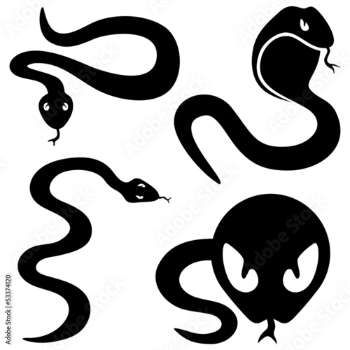 Vector: Snake symbols. Snake symbols.