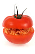 Tomate farcie au taboulé