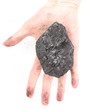 Woman hand holding coal lump on white background