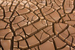 Mud cracks