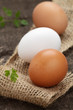 Photo: Eier Eier