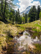 stagno