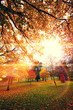 autumn glow