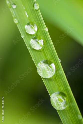 Photo: Wassertropfen Wassertropfen