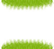 Green grass vector background