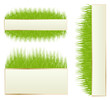 Green grass vector background