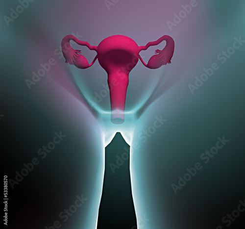 Illustration: Apparato riproduttivo femminile utero Apparato riproduttivo femminile utero