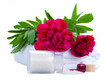 Peony flowers spa