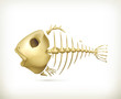 Fish skeleton