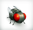 Fly, icon